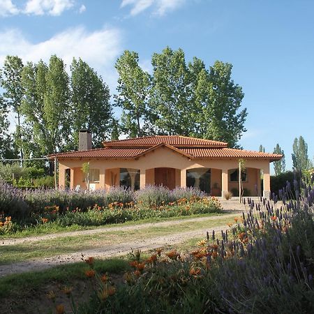Villa Casona Aventurados Lujan de Cuyo Esterno foto