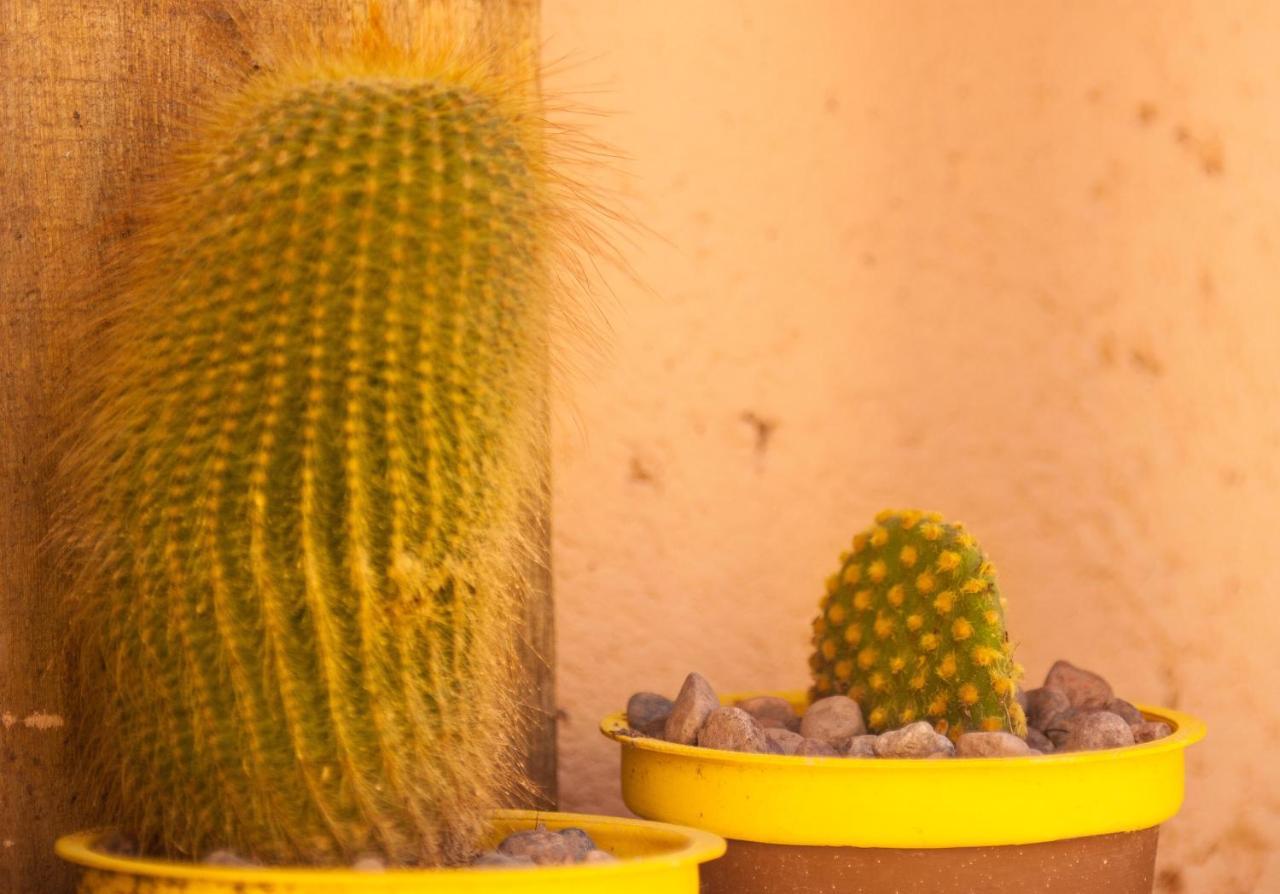 Villa Casona Aventurados Lujan de Cuyo Esterno foto